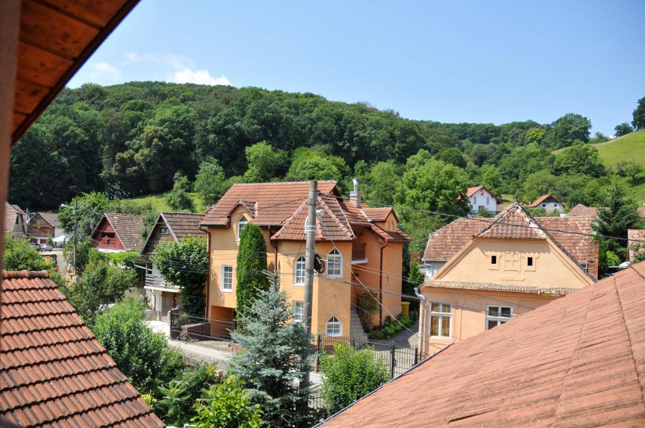 Pensiunea Ana Cristina Sighişoara Exterior foto